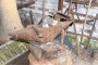 Thumbs/tn_Traktorenmuseum Eggewald 028.jpg